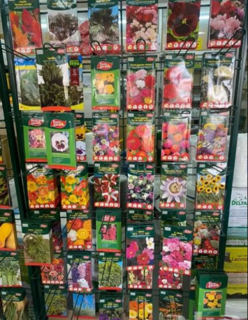 بذور فواكة وخضار وورد اسباني وامريكي