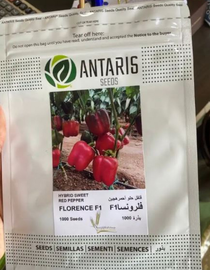 بذور فواكة وخضار وورد اسباني وامريكي