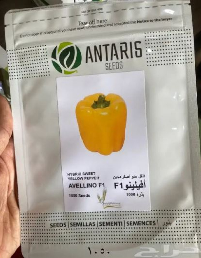 بذور فواكة وخضار وورد اسباني وامريكي