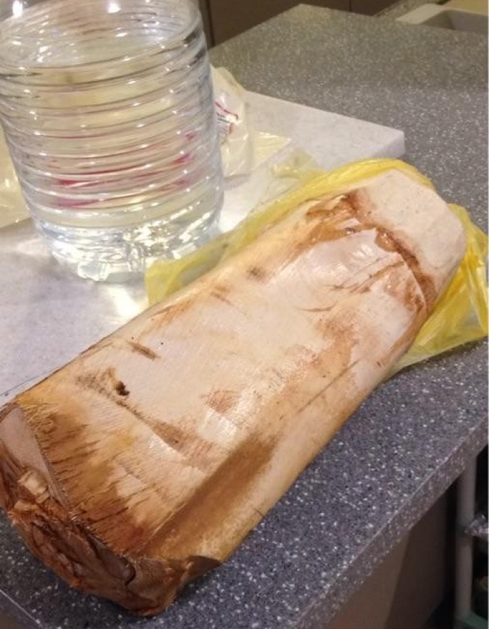 قلب نخل - جذب نخل - لب نخل - جمار نخل - شحم نخل للبيع