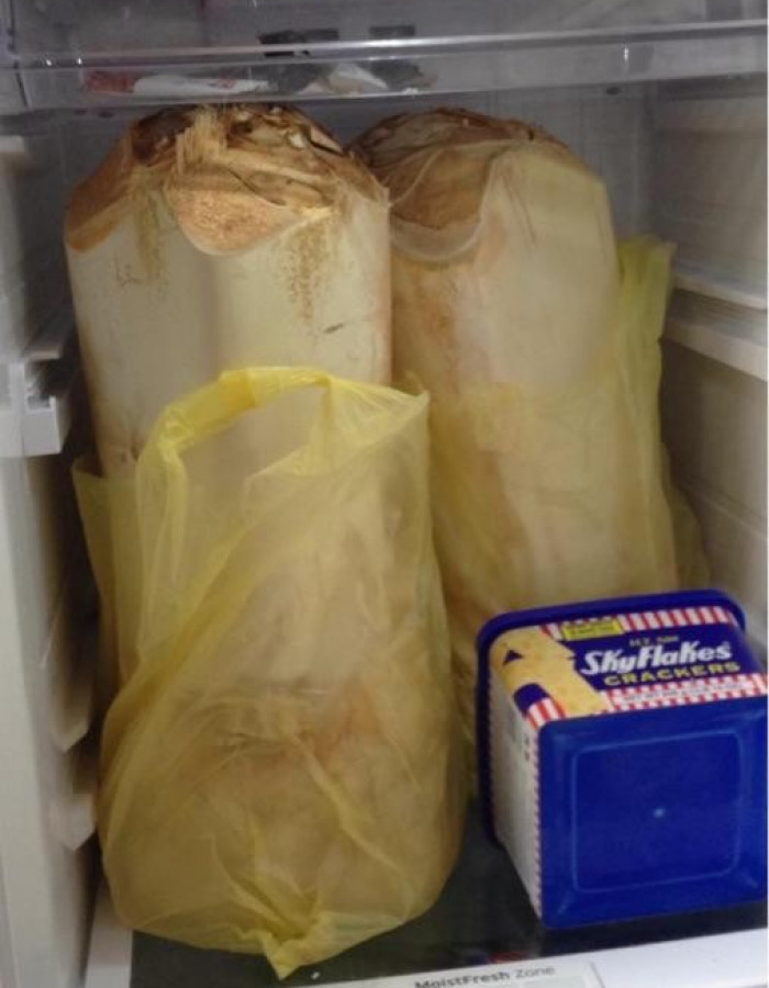 قلب نخل - جذب نخل - لب نخل - جمار نخل - شحم نخل للبيع