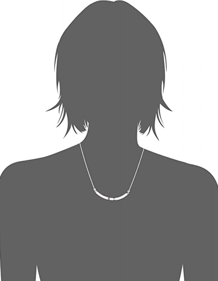 Napier Women's Silver/White Single Bar Frontal Necklace    Napier Women's Silver/White Single Bar Frontal Necklace