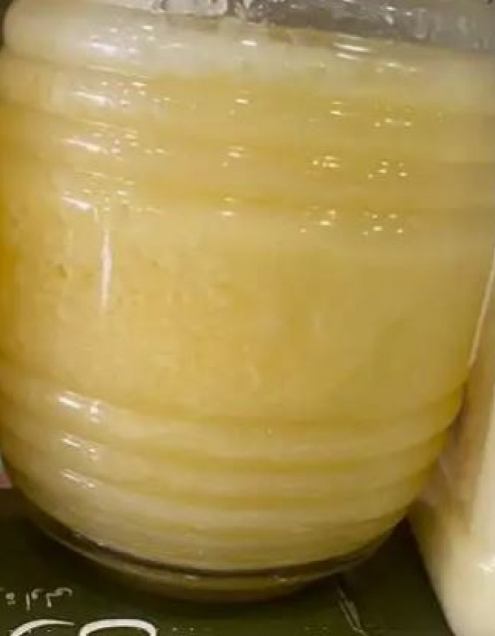 حليب بقر بلدي عضوي طازج وكامل الدسم للبيع