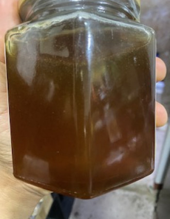 100% Pure Natural Mangrove Honey  100% Pure Natural Mangrove Honey