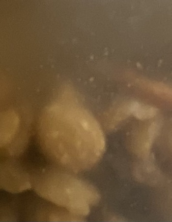 بذور الاكبي