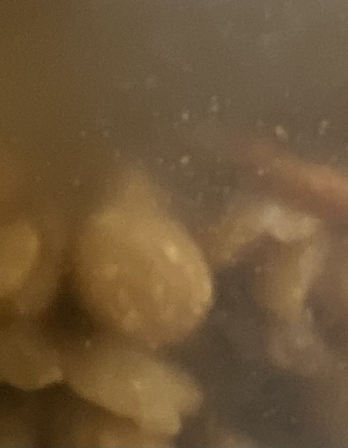 بذور الاكبي