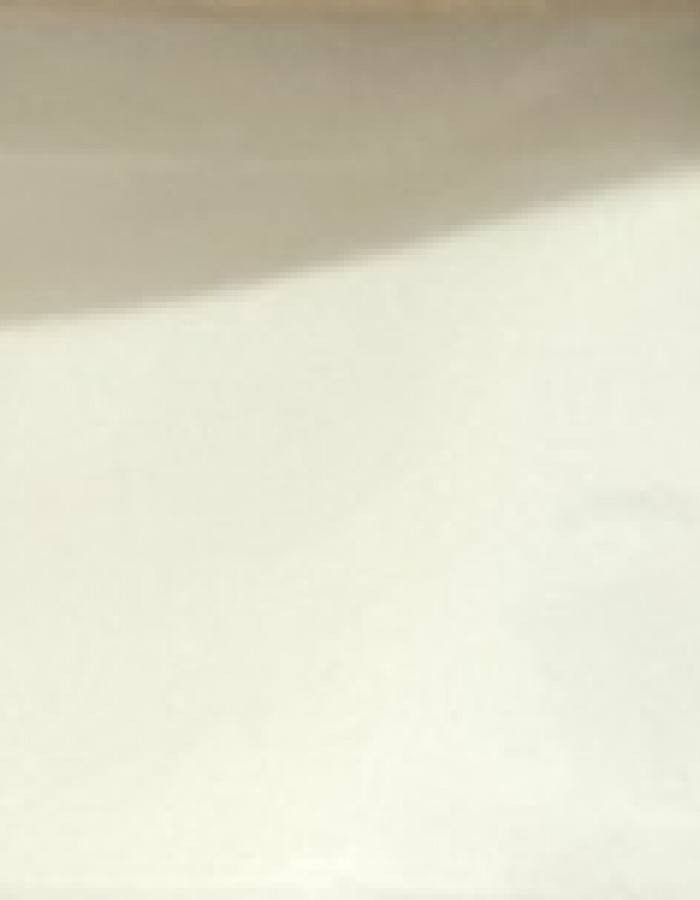 بودرة الفطر الريشي بودرة الفطر الريشي