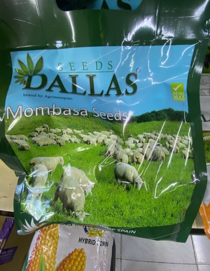 بذور فواكة وخضار وورد اسباني وامريكي بذور فواكة وخضار وورد اسباني وامريكي