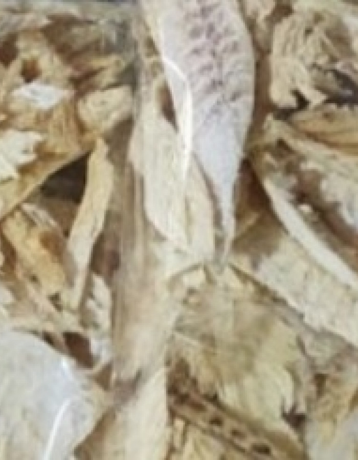 سمك شعري و صافي وربيان مجفف
