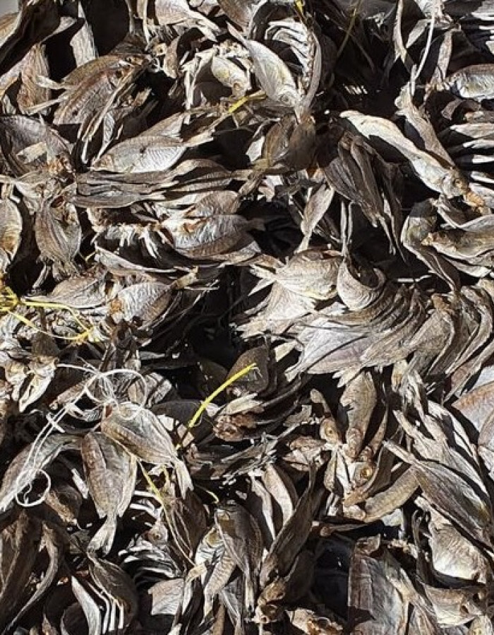 سمك شعري و صافي وربيان مجفف