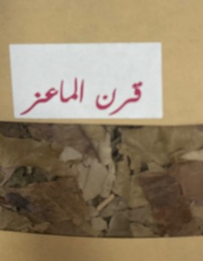 عشبة العنزة القرنية 