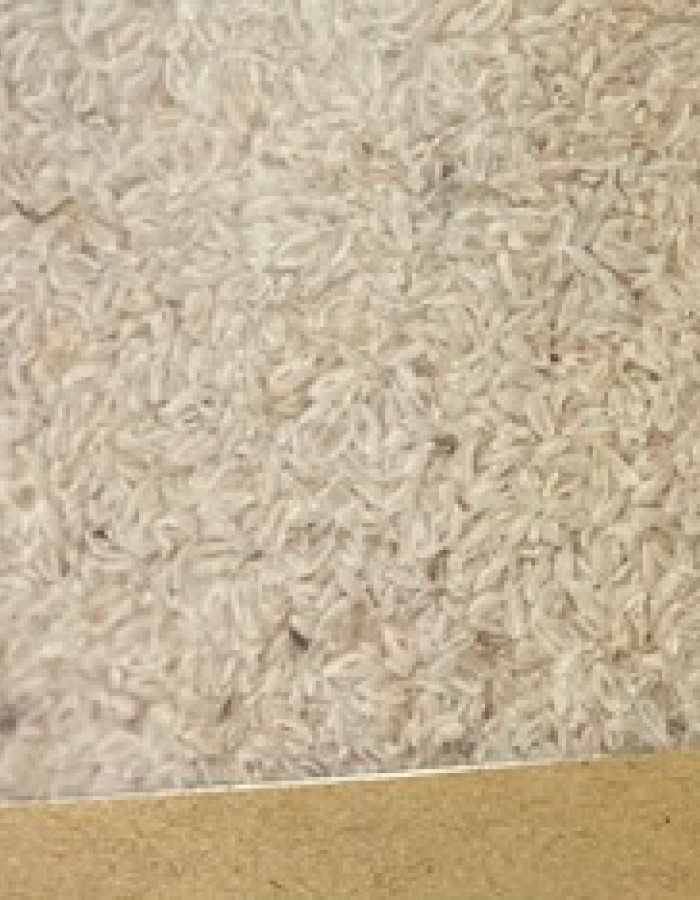 اسبقول   اسبقول