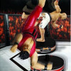 Black Series Remote Control MMA Cage Fighters