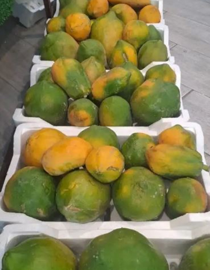 فاكهة بابايا 