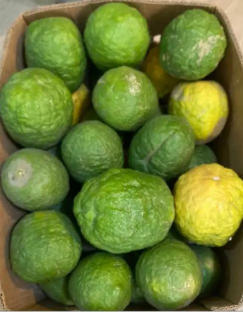 Citron fruit for sale