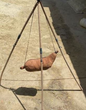 خضاضة لبن قديمة  